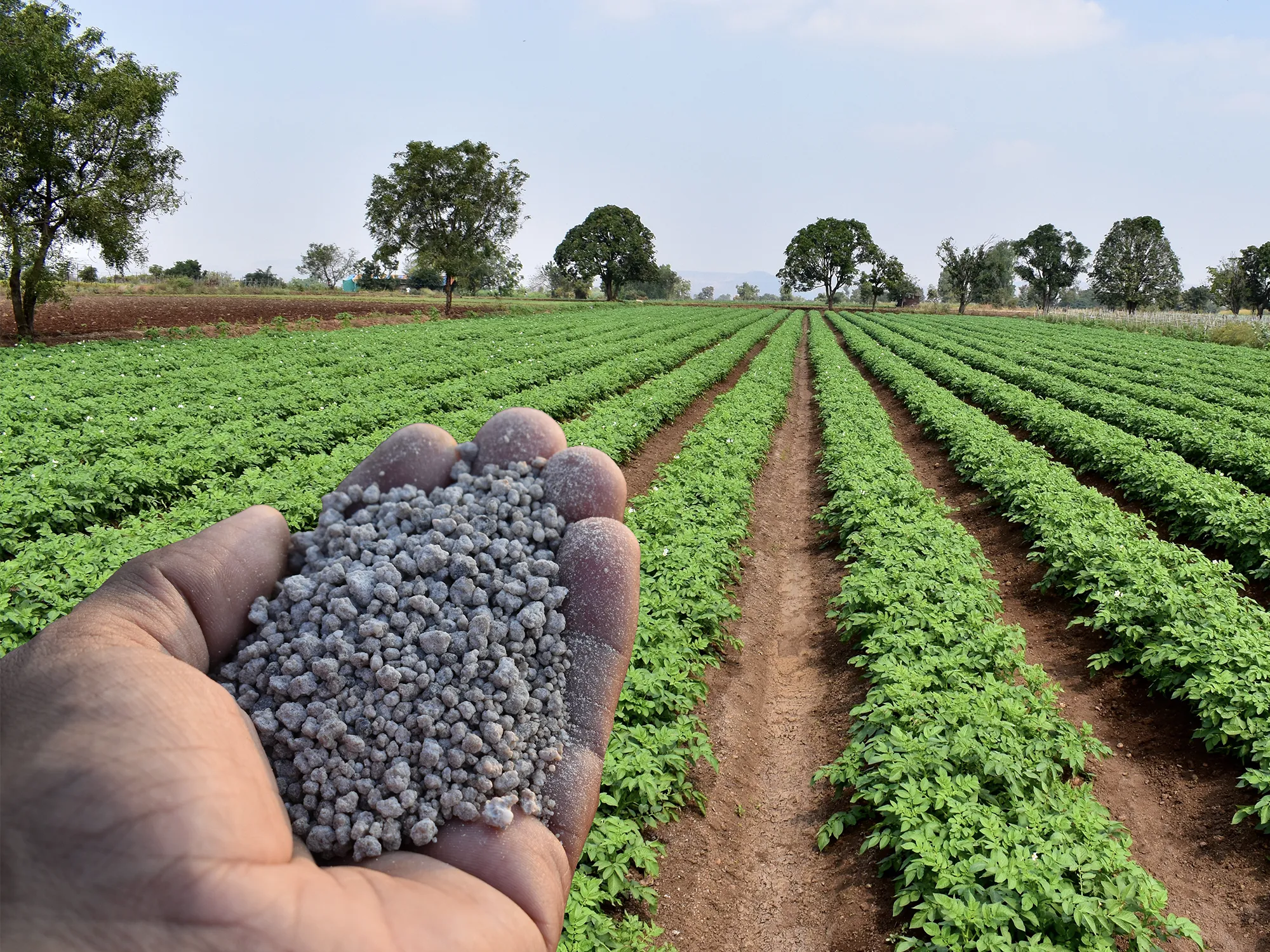 Agrochemicals