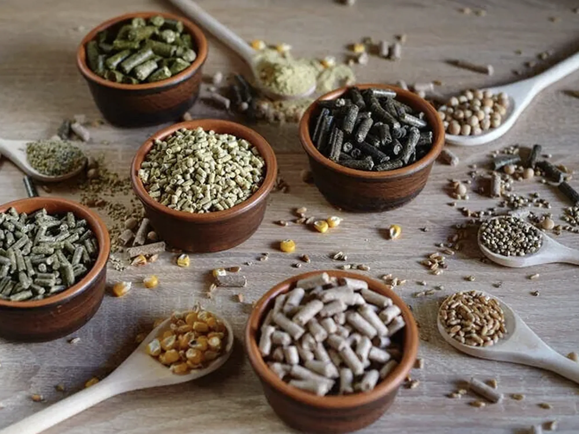 Nutrition and Food